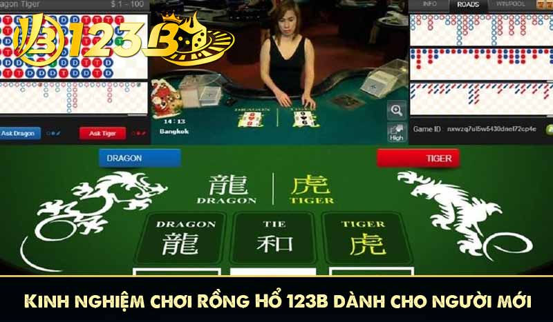 Rồng Hổ 123B Game So Bài Một Lá đổi thưởng hấp dẫn 11 Kinh nghiệm chơi Rồng Hổ 123B dành cho người mới