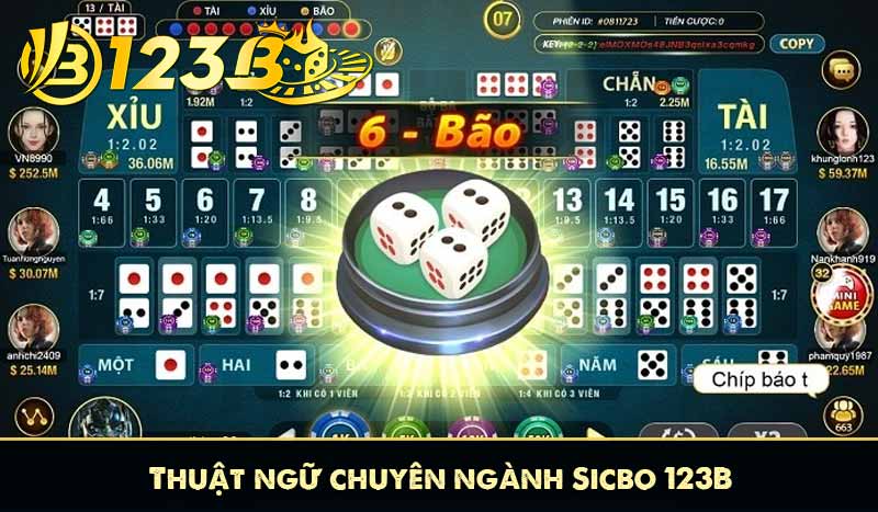 Sicbo 123B – Lắc Xí Ngầu Cổ Điển Với Tỷ Lệ Ăn Linh Hoạt 8 Thuật ngữ chuyên ngành Sicbo 123B